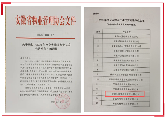大丰国际(中国区) - 官方网站