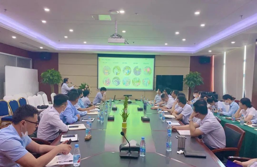 大丰国际(中国区) - 官方网站